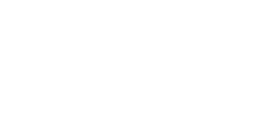 Danube — Rino Properties developer partner